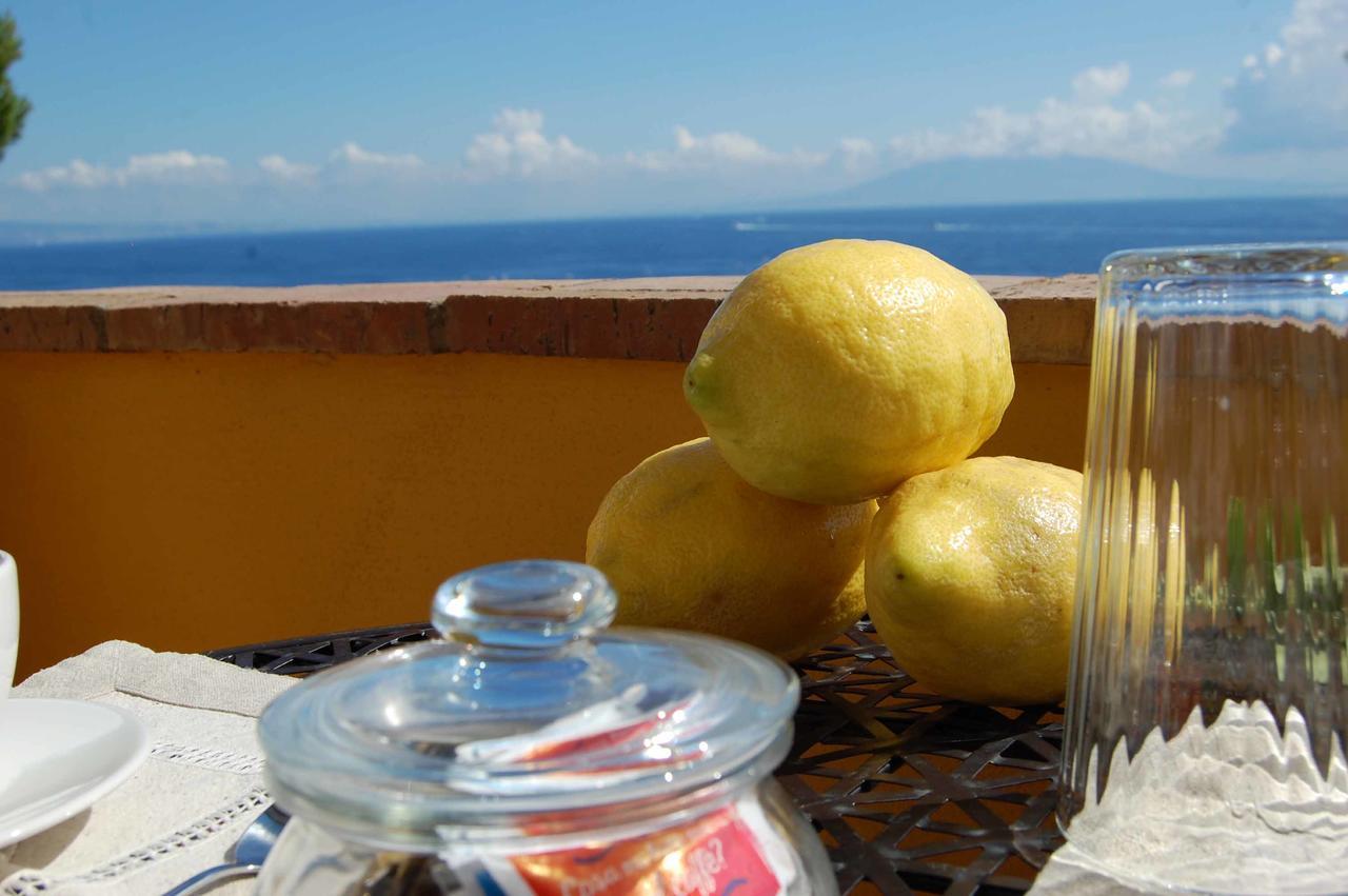 La Terrazza Sul Mare Bed & Breakfast Capri Ngoại thất bức ảnh