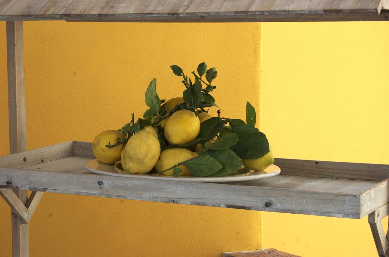 La Terrazza Sul Mare Bed & Breakfast Capri Ngoại thất bức ảnh