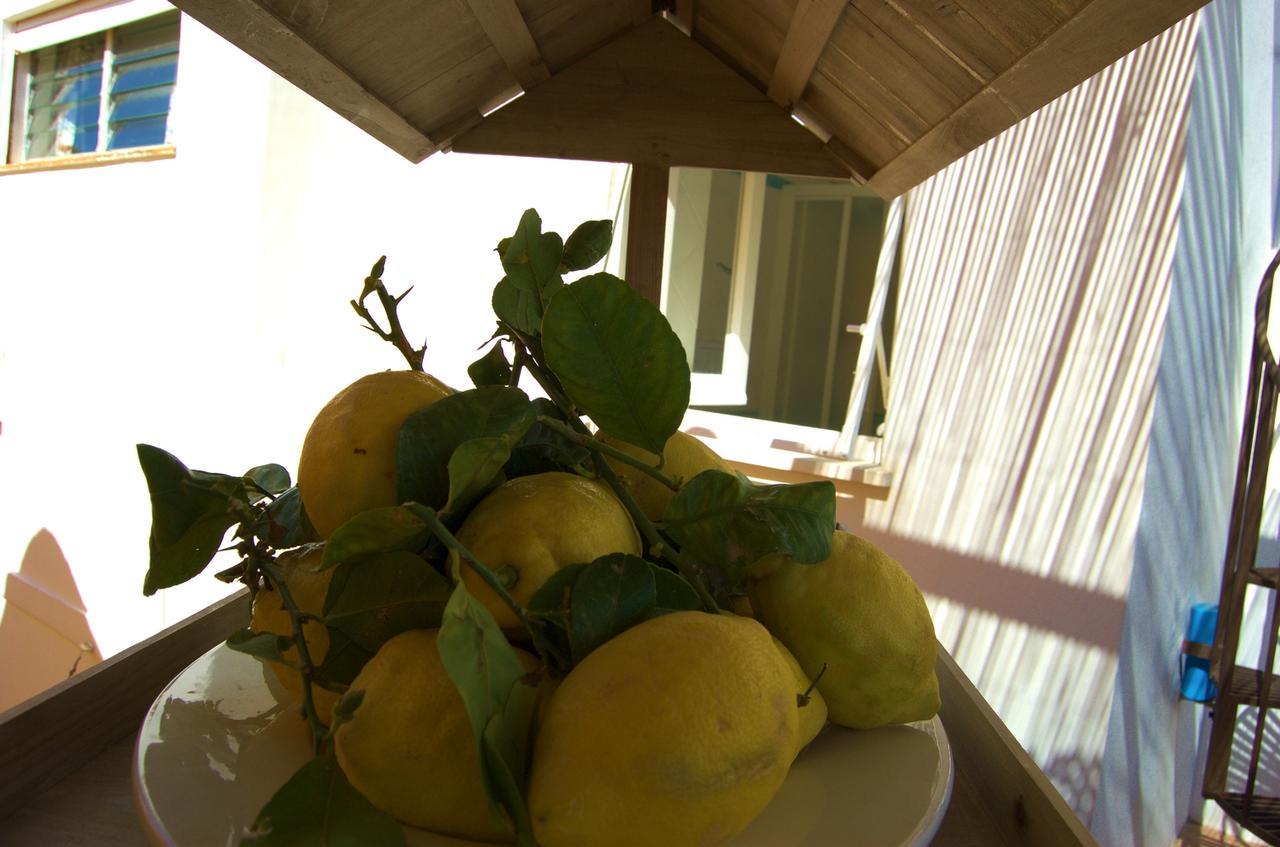 La Terrazza Sul Mare Bed & Breakfast Capri Ngoại thất bức ảnh