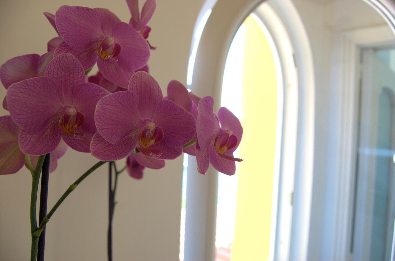La Terrazza Sul Mare Bed & Breakfast Capri Ngoại thất bức ảnh